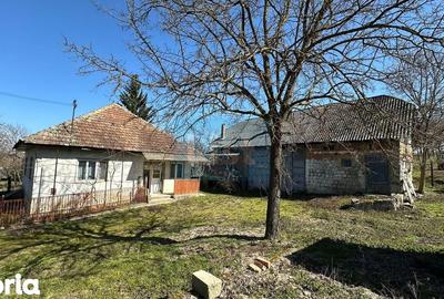 Casă cu 3 camere cu Teren 3349 Mp în Central - 5