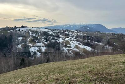Teren de 7000 mp, în Bran - 5