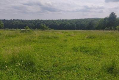 Casa + teren 2600mp, zona Horodnic de Sus, Radauti - 7