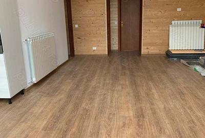 Casă cu 4 camere în Lepșa - 1