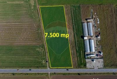 Teren de 7500 mp, în Tărlungeni - 6
