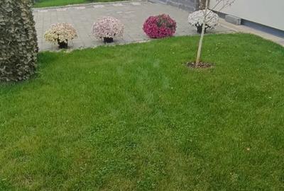 Casă cu 5 camere cu Teren 320 Mp în Domnești - 2