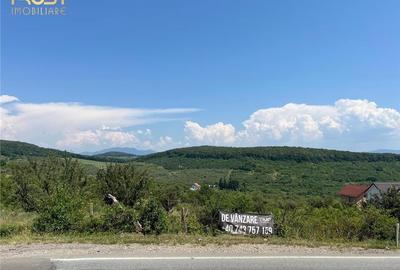 Teren de vanzare Dealul Dumitrei 1000 mp - 7