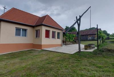 Casă cu 3 camere cu Teren 5000 Mp în Livezeni - 4