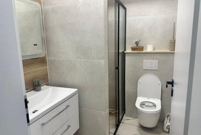 Apartament cu 3 camere decomandat în Viforâta - 2