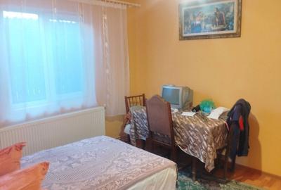 Casă cu 4 camere în Cernișoara - 1