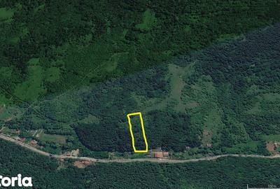 Teren de 1413 mp, în Vețel - 4