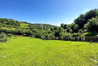 TEREN cu Priveliste, in Schei - 3