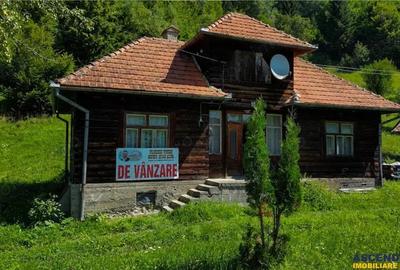 FILM! Casa traditionala pe domeniu de 4.300mp teren, Bran - Simon, Brasov - 19