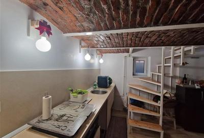 Armonie intre rustic si modern, complet renovat, zona Centrala, Brasov - 28