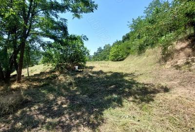 Teren de 1500 mp, în Marginea - 5