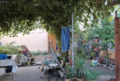 Casa Navodari - 2