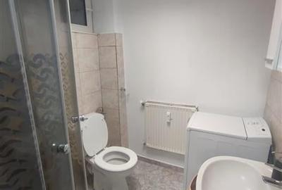 Inchiriere apartament 2 camere in vila, pet friendly - 5