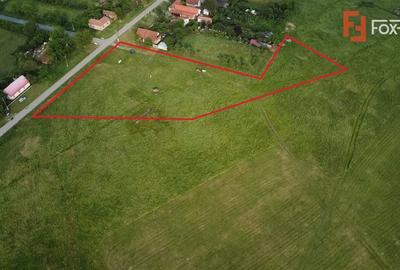 Teren Construcții intravilan de 6400 mp, în Pădureni (Jebel) - 4