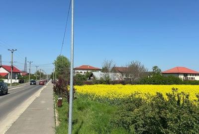 Teren intravilan 26.300 mp Saftica Balotesti - PUZ în lucru - 19