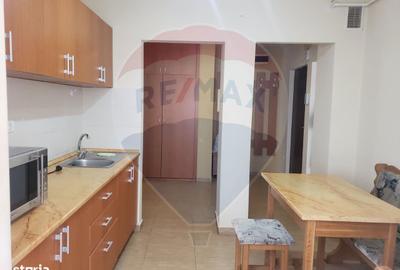 Apartament cu 2 camere decomandat, mobilat în Podgoria - 3
