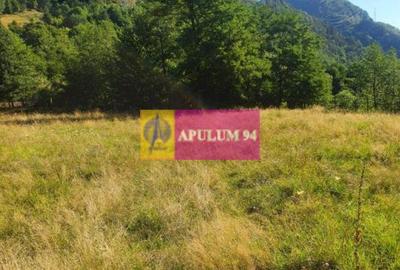 Teren Construcții intravilan de 744 mp, în Periferie - 23