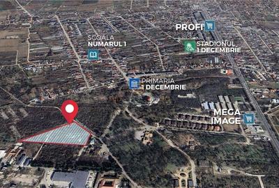 Teren 19.470 mp, dezvoltare imobiliara, Green City - 1 Decembrie, Ilfov - 3