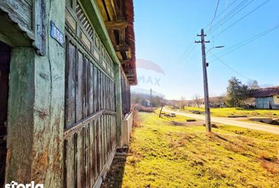 Casă cu 4 camere cu Teren 10486 Mp în Ohaba Lungă - 5