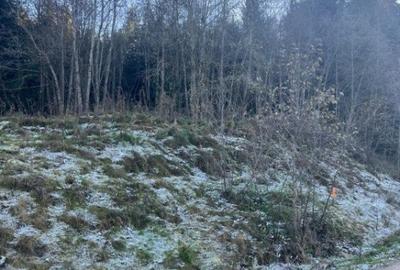 Teren intravilan, 20000 mp, zona Manastirea Humorului - 7