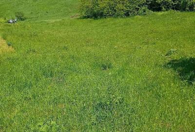Teren de 2926 mp, în Ciritei - 2