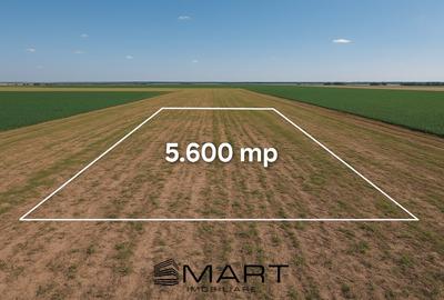 Teren agricol extravilan de 5600 mp, în Daia Română - 1