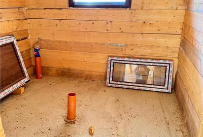 Casă cu 4 camere cu Teren 1500 Mp în Horea - 17