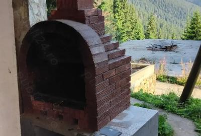 Vand Vila in Sta?iunea Montana Ranca jud Gorj - 6