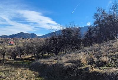 Teren intravilan Sohodol, priveliste catre Bucegi, Piatra Craiului,Magura Codlei - 10
