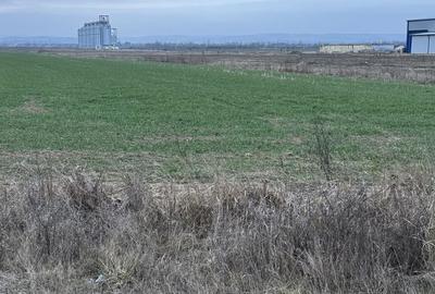 Spațiu comercial, în Saca