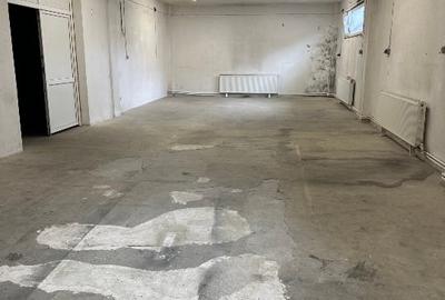 Spațiu industrial, de 200 mp, în Ștefan cel Mare - 3