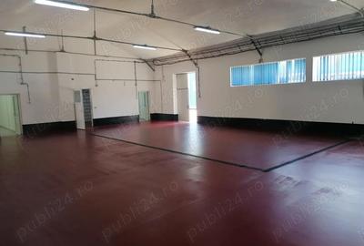 Inchiriez hala depozit, productie alimentare-farma, 428mp, Bucuresti - 4