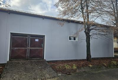 Hale industriale si magazii metalice de inchiriat - 3