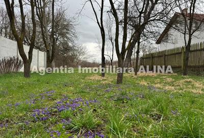 Teren de 1858 mp, în Criș - 5