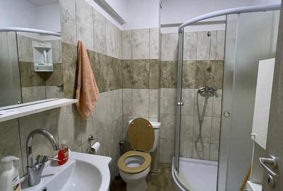 Garsonieră nedecomandată în Valea Lupului - 5