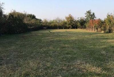Teren de 1375 mp, în Ciolpani - 4