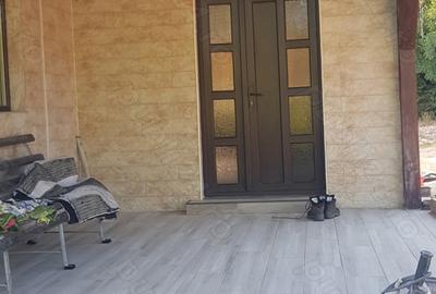 Casă cu 6 camere cu Teren 4000 Mp în Obreja - 2