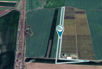 Teren agricol de 1,95 ha in Zimandu Nou - 2