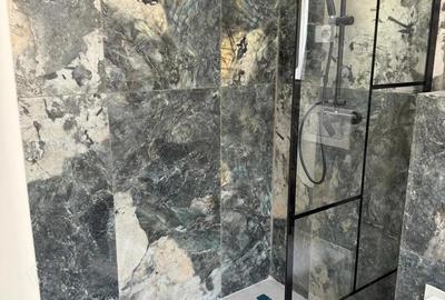 Berceni-VIDRA vanzare case-vile - 11