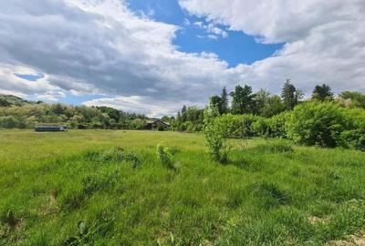 Teren de 5000 mp, în Vlădesti - 2