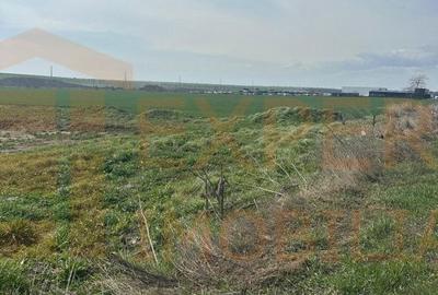 Teren de 10000 mp, în Valu lui Traian - 8