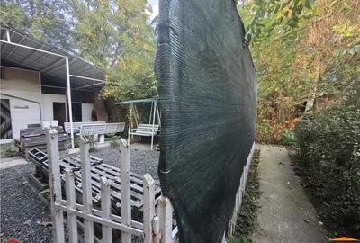 Cabana pe Stradul din Arad aproape de Mures - 4