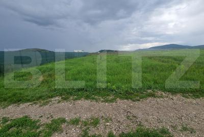 Teren pentru casa intravilan , 800 mp deschidere la drum Bod - 2