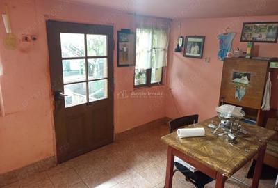 Casă cu Teren 1439 Mp în Brădișoru de Jos - 4