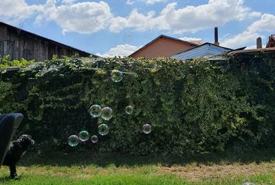 Vand casa in Barcane?ti - 3