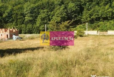 Teren de 744 mp, în Brezoi - 5