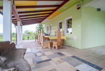 Casa / Vila cu 10 camere, de vanzare. Todireni, Botosani. - 13