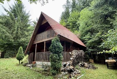 Cabana de lemn zona Barajului Firiza