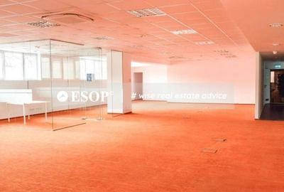 Spațiu comercial, de 258 mp, în Romană - 10