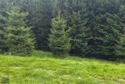 Teren de 300 mp, în Brădățel - 2